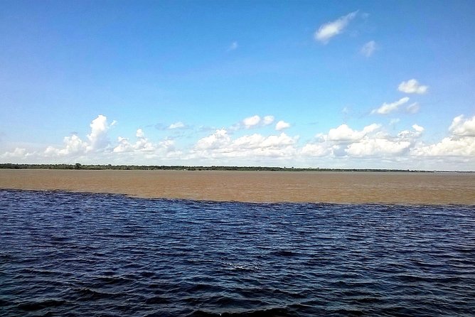 Amazon and Negro Rivers Experience With Night Exploration Tour - Operator and Focus