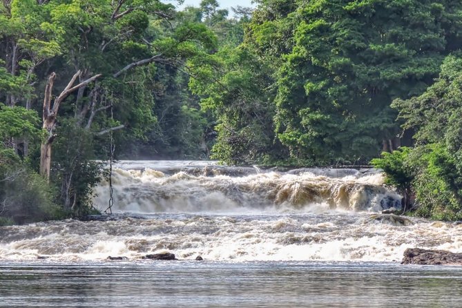 Amazon Arapiuns River Aruã Waterfall Tour - Key Points