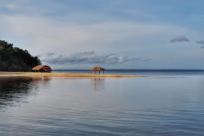 Amazon Arapiuns River Aruã Waterfall Tour - Wildlife and Nature Spotting