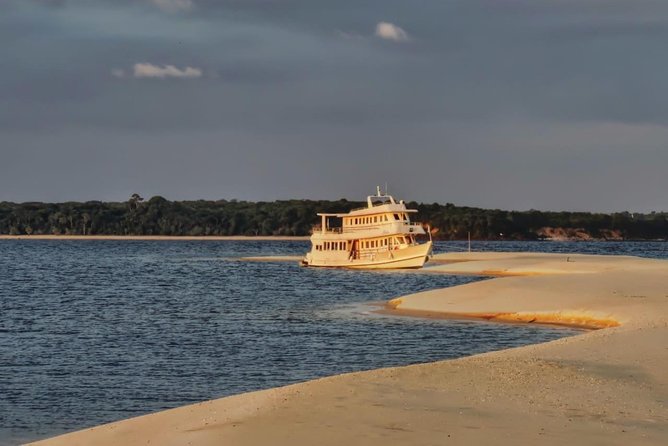 Amazon Arapiuns River Aruã Waterfall Tour - Culinary Delights