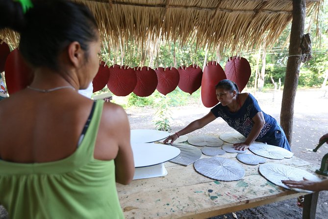 Amazon Arapiuns River Aruã Waterfall Tour - Important Considerations