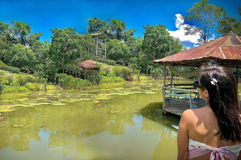 Amazon Expedition Discover the Mysterious Jungle in 5D/4N - Included Services