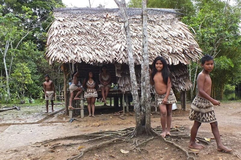 Amazon Expedition Discover the Mysterious Jungle in 5D/4N - Language Support