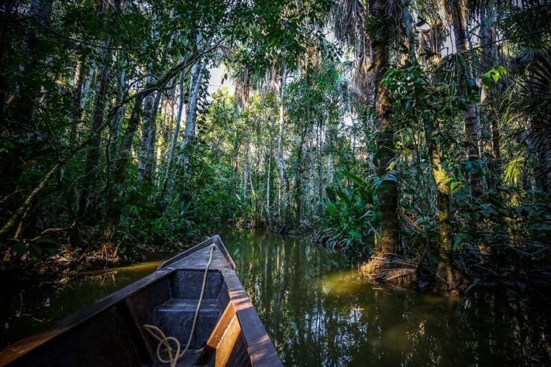 Amazon Four-Day Journey - Key Points