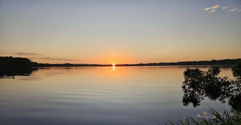Amazon Juma Survival Tour- 4 Days of Jungle Eexperience - Overview of the Amazon Juma Tour