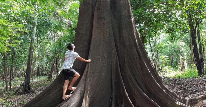 Amazon Jungle: 3- or 4-Day Tour at Ipanema River Guest House - River Exploration and Wildlife Sightings