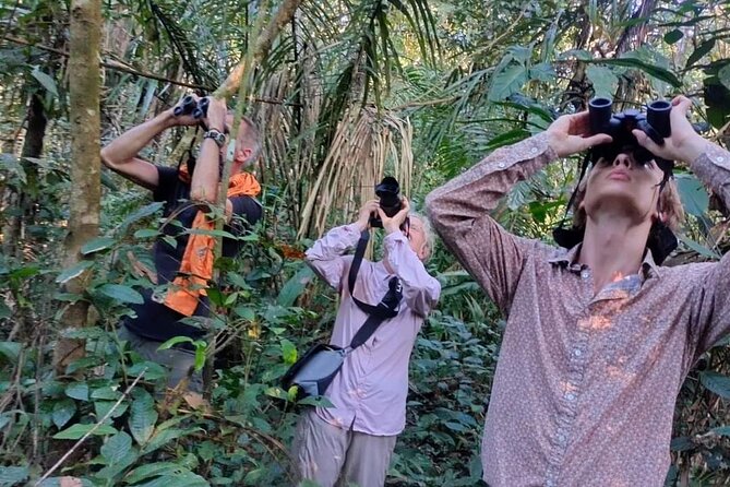 Amazon Jungle Experience 3 Days 2 Nights - Navigating the Amazon River