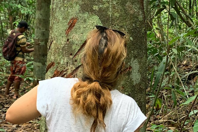 Amazon Jungle Experience With Overnight - Activity Highlights