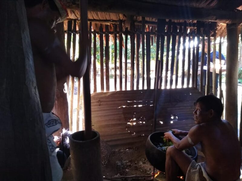 Amazon Odyssey: Explore Rainforest Wonders on Our Tours! - Key Points