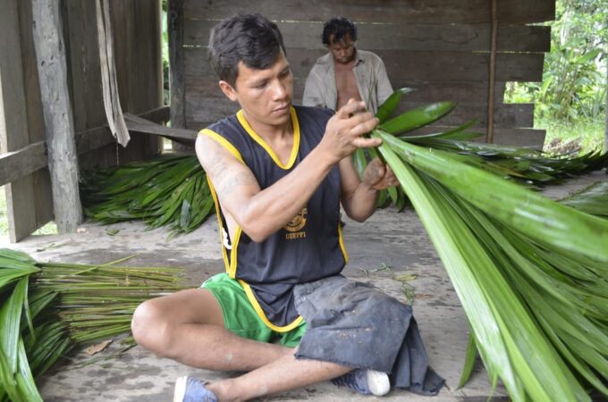 Amazon Odyssey: Explore Rainforest Wonders on Our Tours! - Explore the Rainforests Biodiversity
