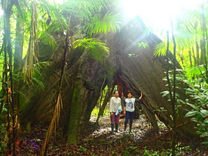 Amazon Odyssey: Explore Rainforest Wonders on Our Tours! - Immerse in Indigenous Cultures