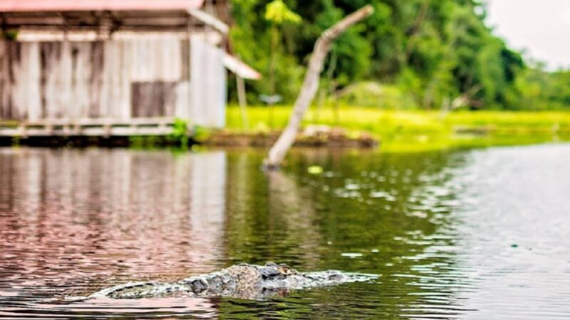 Amazon Plan Camino Del Huito 4 Days and 3 Nights - Included Services