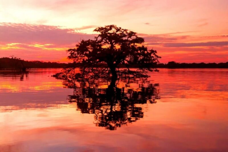 Amazon Rain Forest Adventure, 4 Days - Accommodation and Meals