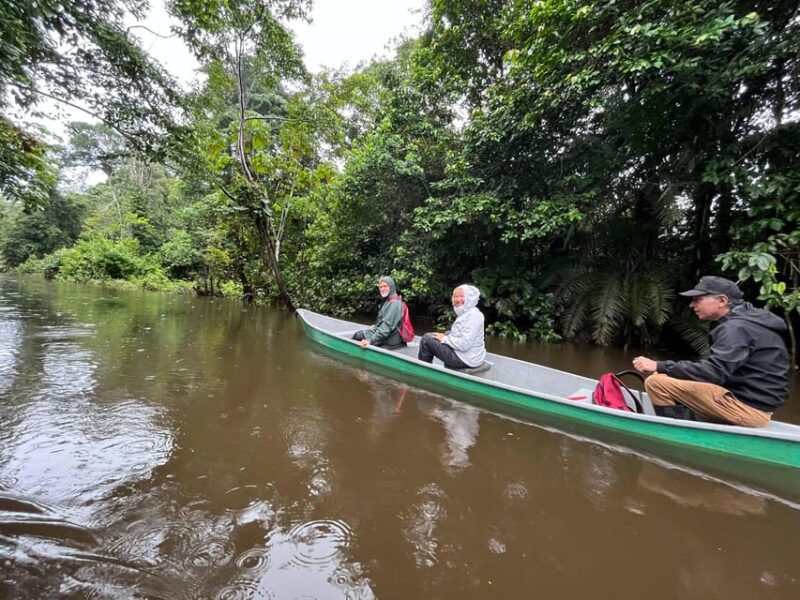 Amazon Rain Forest Adventure, 4 Days - Activity Highlights