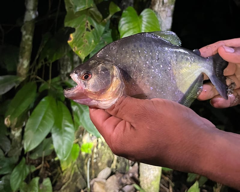 Amazon Rain Forest Adventure, 4 Days - Daily Itinerary