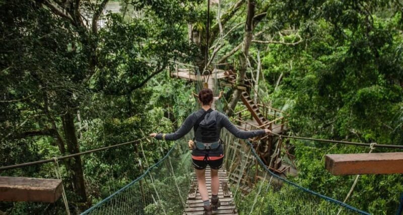 Amazon Rainforest 5 Day Tour - Itinerary Highlights