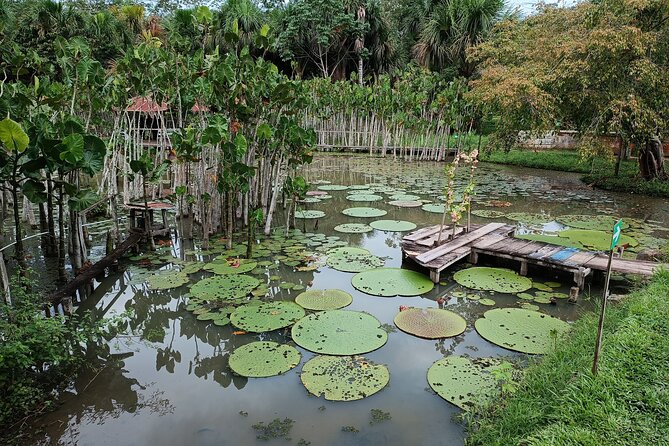 Amazon River Adventure Full Day Tour - Exploring the Amazon River