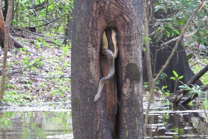 Amazon River Excursion - Orchid Package - 3 Days / 2 Nights - Inclusions and Tour Details