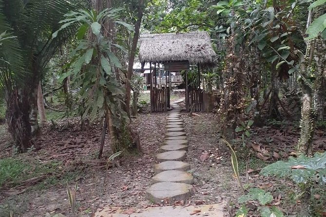 Amazon River Expeditions With Guide for 5 Days 4 Night Ecolodge - Unique Wildlife Experiences