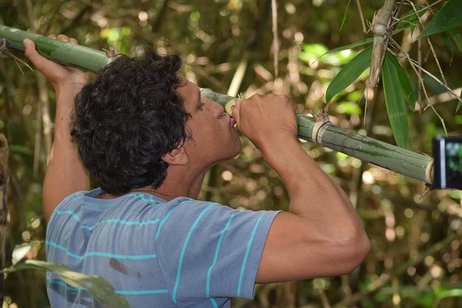 Amazon Shelter And Local Farm - Rescue and Rehabilitation Efforts