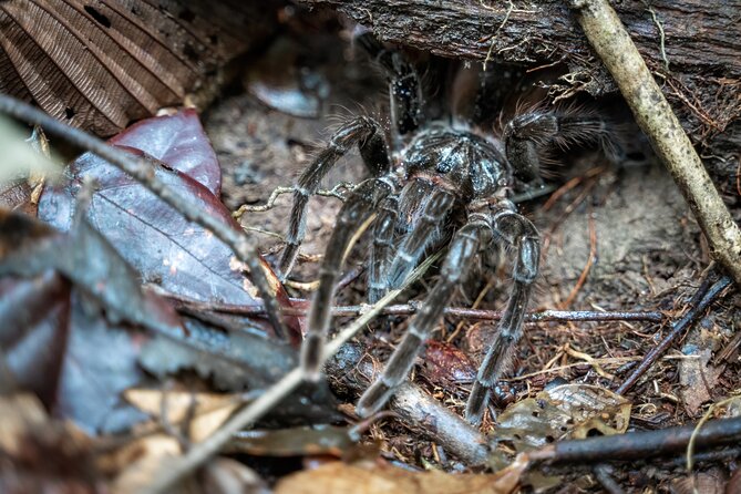 Amazon Survival Tour 5D/4N - Pickup and Cancellation