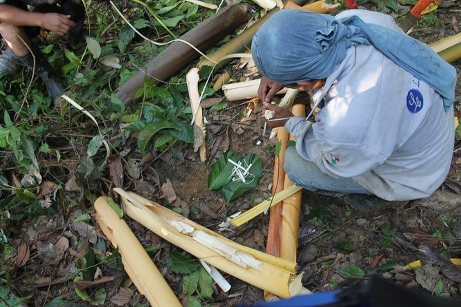 Amazon Tour Adventure 3/ Days 2/ Nights 360 Usd - Tour Duration and Price