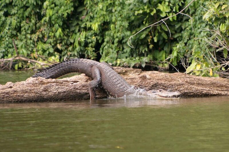 AMAZON TOUR MANU CULTURAL AREA 3D – 2N - Additional Information
