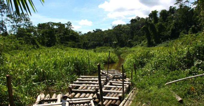 AMAZON TOUR MANU CULTURAL AREA 3D – 2N - Accommodation