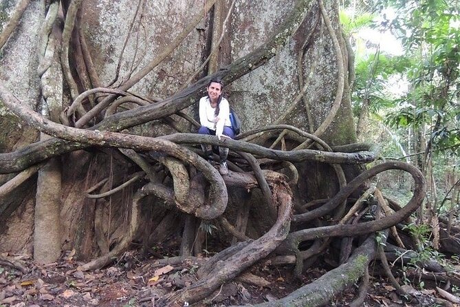 Amazon Untamed Expedition 3 Days and 2 Nights Pacaya Samiria - Navigating the Rivers Winding Waterways