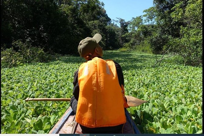 Amazon Wildlife Excursions 2/ Days /1 Night 280 Usd - Private Guide Assistance