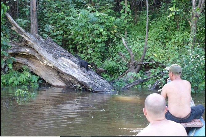 Amazon Wildlife Excursions 2/ Days /1 Night 280 Usd - Meeting and Pickup Details