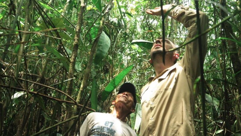 Amazonas Extreme - Included Services