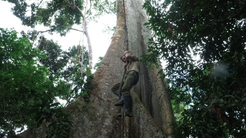 Amazonas Extreme - Included Services