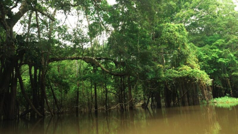 Amazonas Extreme - Packing and Prohibited Items