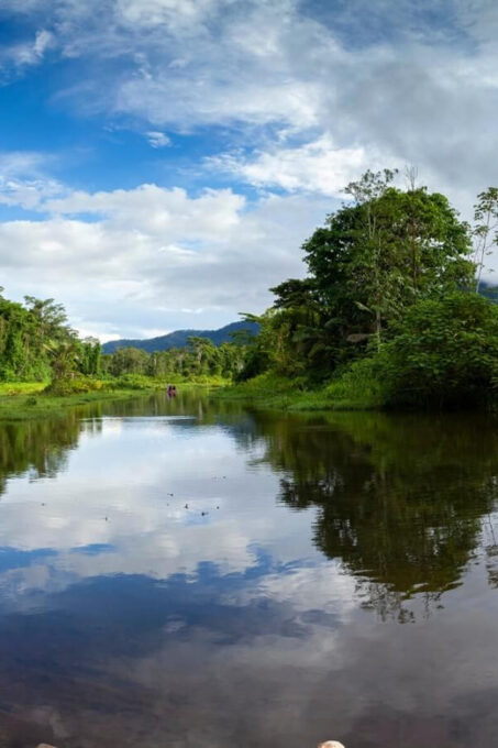 Amazonian Adventure 3 Days: Exploring the Jungle From Cusco - Medicinal Plant Garden Exploration