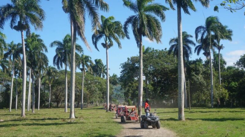 Amber Cove - Taino Bay 4 Seaters Super Buggy Tour - Key Points