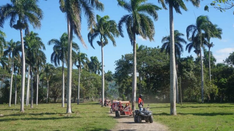 Amber Cove - Taino Bay Super Buggy 4 Seaters Tour - Itinerary