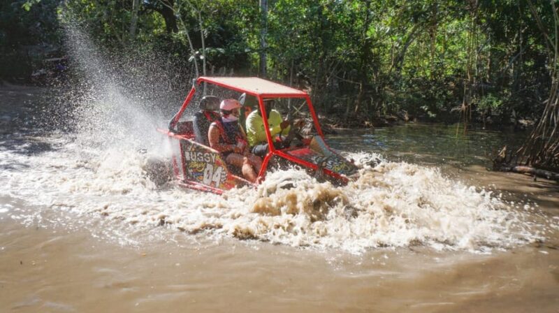 Amber Cove - Taino Bay Super Buggy 4 Seaters Tour - Inclusions
