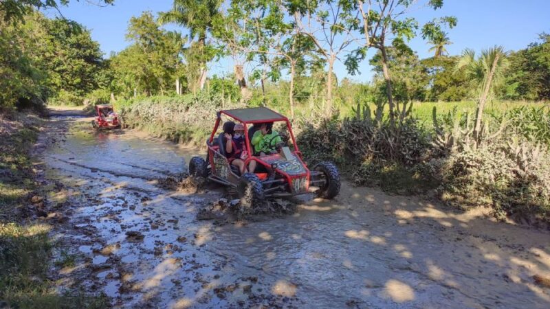 AMBER COVE-TAINO BAY Super Buggy Tour - Inclusions