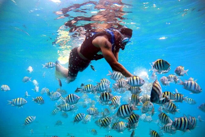 Amber Cove - Taino Bay VIP Party Boat and Snorkeling Tour - Accessibility Considerations