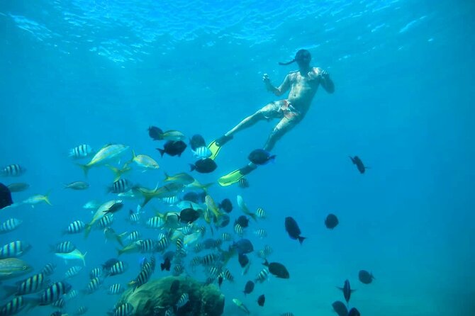 Amber Cove - Taino Bay VIP Party Boat and Snorkeling Tour - Recommendations and Precautions