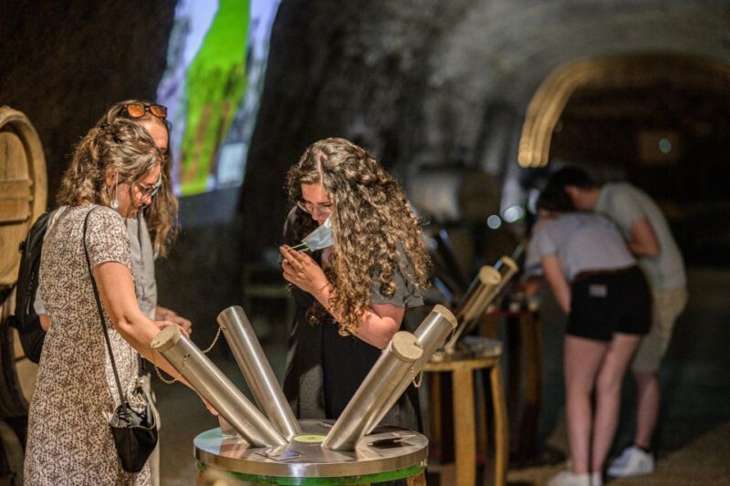 Amboise: Caves Ambacia Visit and Wine Tasting - Customer Reviews