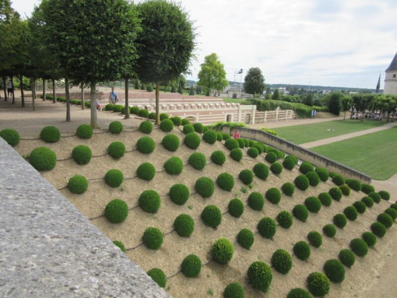 Amboise: Private Guided Tour of the Castle With Entry Ticket - Tour Highlights