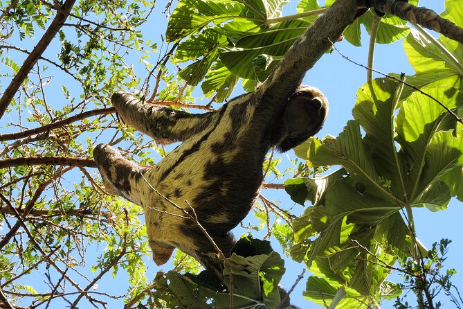 Amboro National Park Overnight Tour From Santa Cruz - Traveler Reviews