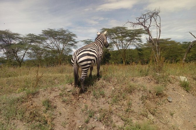 Amboseli Day Trip From Nairobi - Inclusions and Exclusions