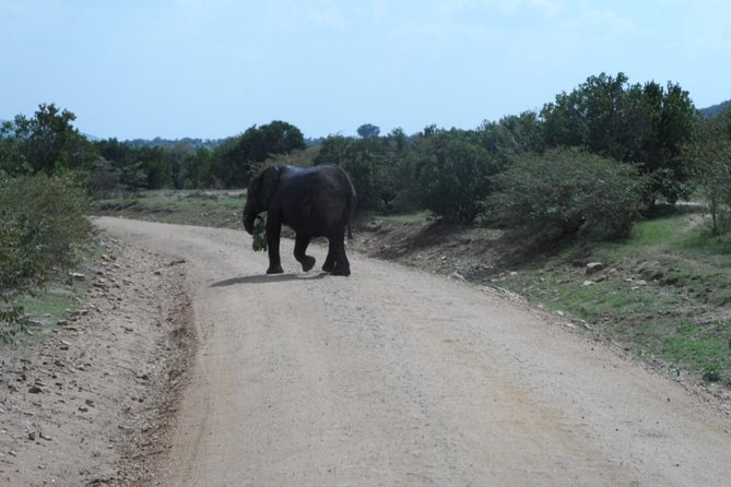 Amboseli National Park Day Tour From Nairobi - Maasai Interaction