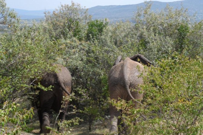 Amboseli National Park Day Tour From Nairobi - Inclusions and Pricing