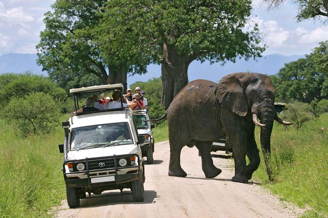 Amboseli National Park Guided Full Day Tour - Key Points