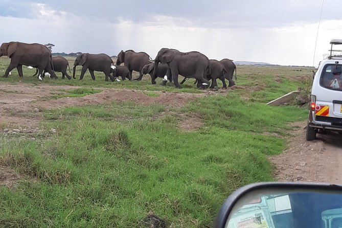 Amboseli National Park Guided Full Day Tour - About Gracepatt Safaris