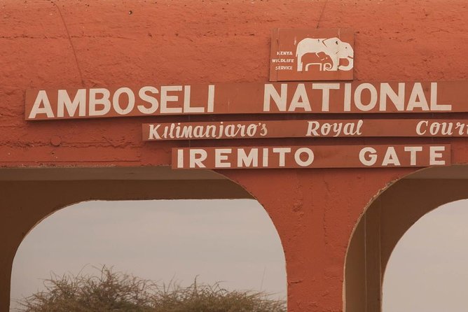 Amboseli Park & Kilimanjaro Views Day Tour - Traveler Feedback